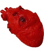 Soft Latex LIFE SIZE FAKE HUMAN HEART Realistic Body Part Halloween Horr... - £7.82 GBP