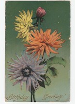 Vintage Postcard Birthday Colorful Flowers Dahlias Green Background Gel Card - £6.11 GBP