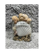 Craft Assorted Seashells Clear Glass Jar Collectible Home Decor - £13.03 GBP