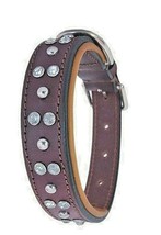 Shwaan Rhinestone Dog Collars Genuine Leather Padded Bling Dog Collar S 11&quot; - 14 - £24.89 GBP