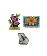 Atlanta Georgia, GA, Souvenir Locker Fridge Stone Mountain Park Magnet L... - $372.21 MXN