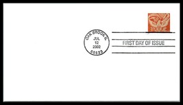 2002 US FDC Cover - 60 Cent Coverlet Eagle Stamp, Oak Brook, Illinois H18 - £2.36 GBP
