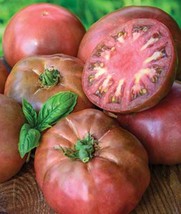 (4) Live Black Krim Heirloom Tomato Plants.  Stout 4&quot; Tall Plants - £19.75 GBP