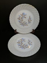 Vintage Termocrisa Plates Dinner 9&quot; Blue Floral Vine Milk Glass Set of 2 - £18.61 GBP