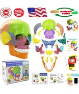 Palm-Sized Detachable Skull Model - Perfect for Students and Classroom L... - $849.12 MXN