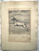 HYGINUS HENIOCHUS Sirius Astronomy Astrology Original ca1681 Engraving  - £41.28 GBP