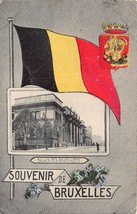 Souvenir Di Bruxelles-Flag-Palais Des Beaux ARTS-1900s Foto Cartolina - £8.35 GBP