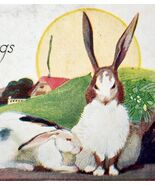 Easter Greetings 1910-21 Postcard Springtime Rabbits Farm Sunrise Scene ... - $28.01 CAD