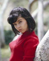 Yvonne Craig in figure hugging red sweater gives pouting look 24x36 inch poster - £23.59 GBP