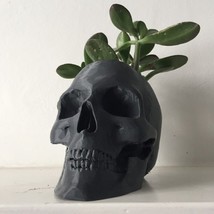 Skull Pot Planter Flower Pot Planter Hand-Made Succulent Decoration 3D Print - £9.58 GBP