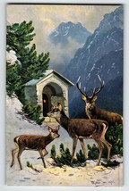 Postcard Deer In Wilderness Mountains Mist Rustic Signed Muller Germany ... - $23.28