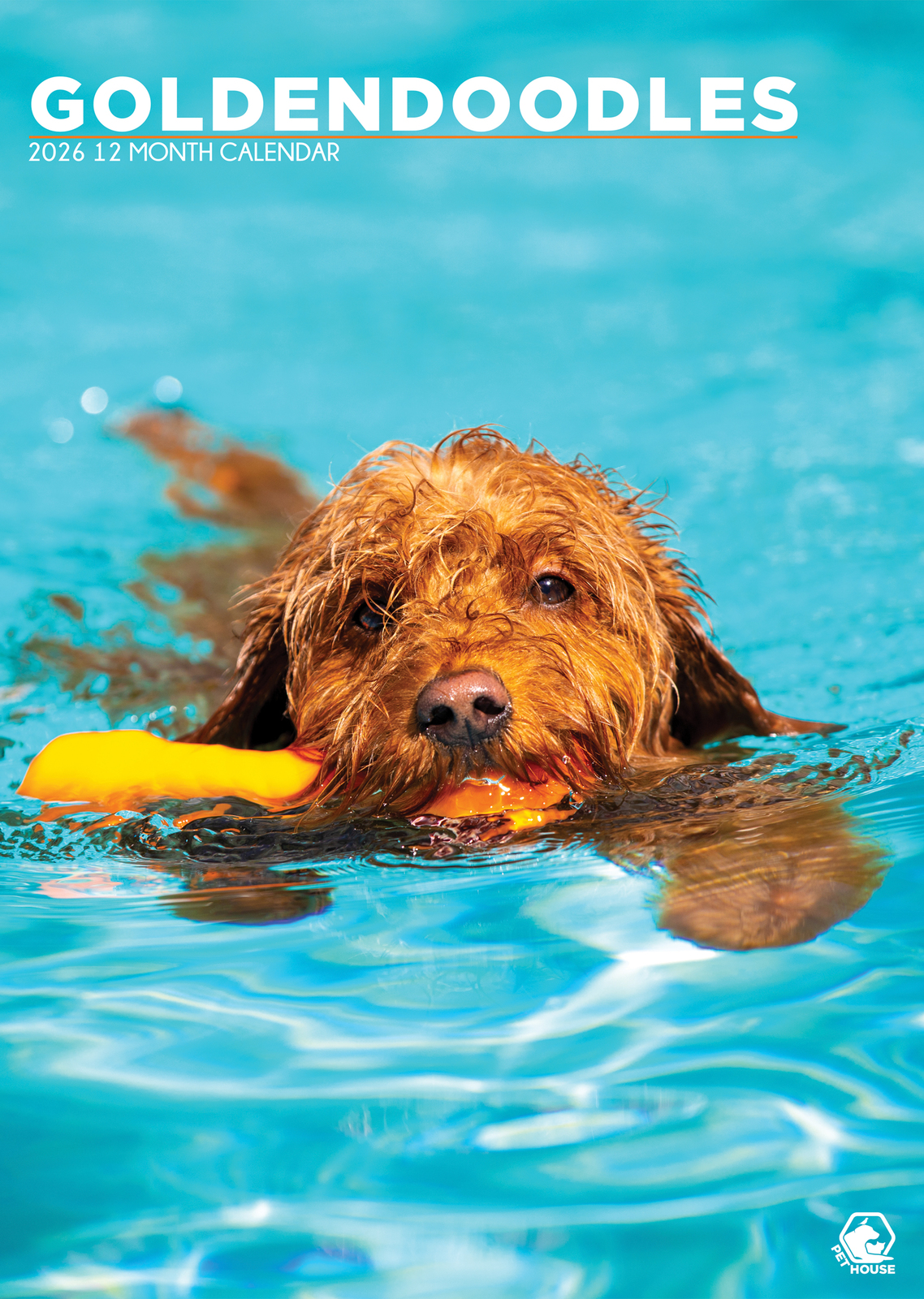 Goldendoodle Calendar 2026 - $19.99