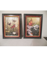 butterfly print wall hangings, framed hummingbird print, framed prints s... - €30,84 EUR
