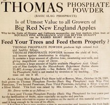 Thomas Phosphate Powder Trees 1910 Advertisement Coe Mortimer Co NYC ADBN1eee - £23.62 GBP