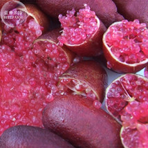 New Fresh Imported Rose Red Finger Lime Pomegrante Plant Seeds 10 Seeds ... - €3,17 EUR