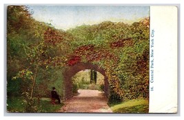 Mountcliff Arch Bridge Central Park New York City NY NYC DB Postcard I21 - £4.43 GBP