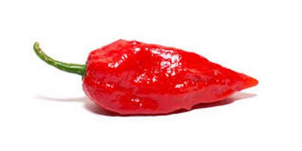 25 Superhot Ghost Bhut Jolokia Red Pepper Seeds Fresh Fast Shipping - €21,42 EUR