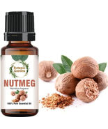 10 ml Natural Pure Nutmeg/ Myristica fragrans Essential Oil - $29.39