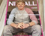 Niall Horan Louis Tomlinson teen magazine magazine poster clipping One D... - $5.00