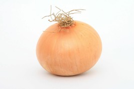 250 Sweet Spanish Yellow Onion Heirloom Vegetable Seeds - $18.85