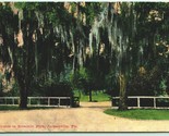Spanish Moss Entrance to Riverside Park Jacksonville FL 1910 DB Postcard F9 - $2.92