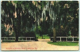 Spanish Moss Entrance to Riverside Park Jacksonville FL 1910 DB Postcard F9 - £2.29 GBP
