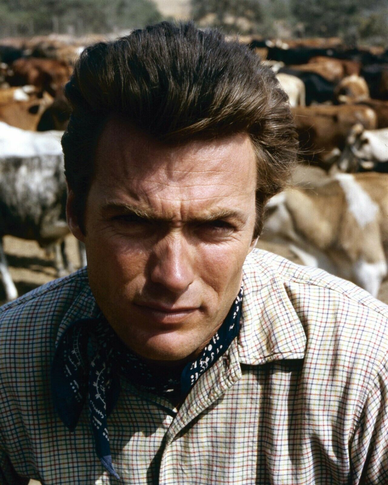 Clint Eastwood as trail boss Rowdy Yates 1960's western Rawhide 5x7 inch photo