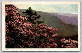 Vintage 1943 Rhododendron bloom heart of the Mountains Postcard NC - £3.93 GBP