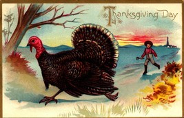 Vintage Tuck&#39;s Thanksgiving Postcard -EMBOSSED TURKEY-cir Early 1900&#39;s -BKC - $3.96