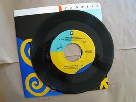 Pete Anderson and the Babylonian Cowboys 45 Record Venice Skyline Rag - $4.47