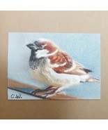 ACEO Sparrow Bird Spring Season Pastel Original Art Miniature 2.5 x 3.5 ... - €32,46 EUR