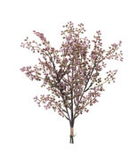 Mini Berry Spray Bundle (Set of 6) - 588778 - $1,257.27 MXN