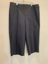 Nwt Ann Taylor Loft Button Front High Waisted Wide Leg Ankle Pants Sz Plus 16 - $39.58