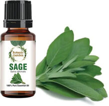 10 ml Natural Pure Sage/ Salvia officinalis Essential Oil - $29.39
