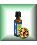 Ginger Root Liquid Extract (Zingiber officinale) *Concentration 1:8* - $243.19 MXN+