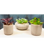 Set Of 3 Colored Realistic Artificial Botanica Succulents Plant In Textu... - $51.95 CAD