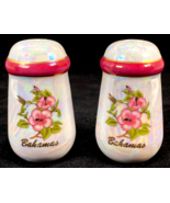 Vintage Iridescent Salt &amp; Pepper Shakers - BAHAMAS - Floral - 3.5&quot; - $184.07 MXN