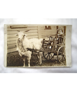 Vintage Photo Postcard Boy in Goat Drawn Cart - £15.95 GBP
