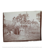 Northern California 1900s RARE Orig Photo Farmer tames Coyote and Irish ... - £55.21 GBP