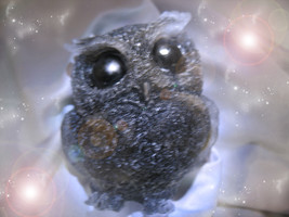 HAUNTED FREE WITH $55 OWL FIGURINE CHOSEN PATH SKILLS KNOWLEDGE MAGICK  - $0.00 MXN