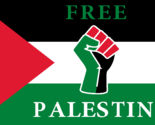 Palestine Freedom Fist BLM US Script 100D 3x5 3&#39;x5&#39; Woven Poly Nylon Fla... - £14.84 GBP