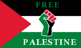 Palestine Freedom Fist BLM US Script 100D 3x5 3&#39;x5&#39; Woven Poly Nylon Flag Banner - £14.80 GBP