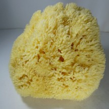 Greece Natural Sea Large sponge Honeycomb  6.5X7.0X 5.0 cm , Bath ,New - £129.21 GBP