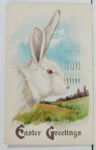 Easter Greeting Large Rabbit 1915 Milwaukee Wis Postcard L20 - £4.81 GBP
