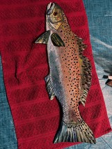 &quot; Florida SeaTrout&quot;, 2022, 20 3/4 Inches/ Left Face, Ready to Ship - $125.73
