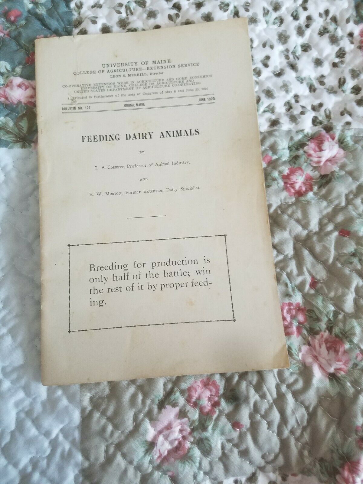 1920 Feeding Dairy Animals UMO Bulletin No. 127 - $4.94
