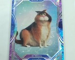 Mr Mittens Soul 2023 Kakawow Cosmos Disney 100 All Star Silver Parallel ... - $19.79