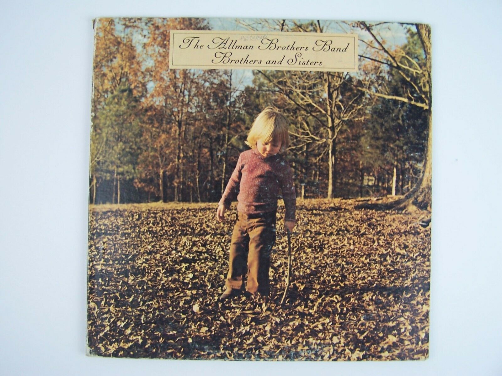Primary image for The Allman Brothers Band – Brothers And Sisters Vinyl LP Record Album CP-0111