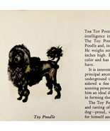 Toy Poodle 1939 Dog Breed Art Ole Larsen Color Plate Print Antique PCBG17 - $40.99 CAD