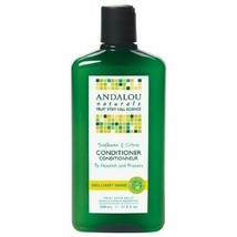Andalou Naturals Shampoo Shine Snflwr Ctrs - £17.48 GBP